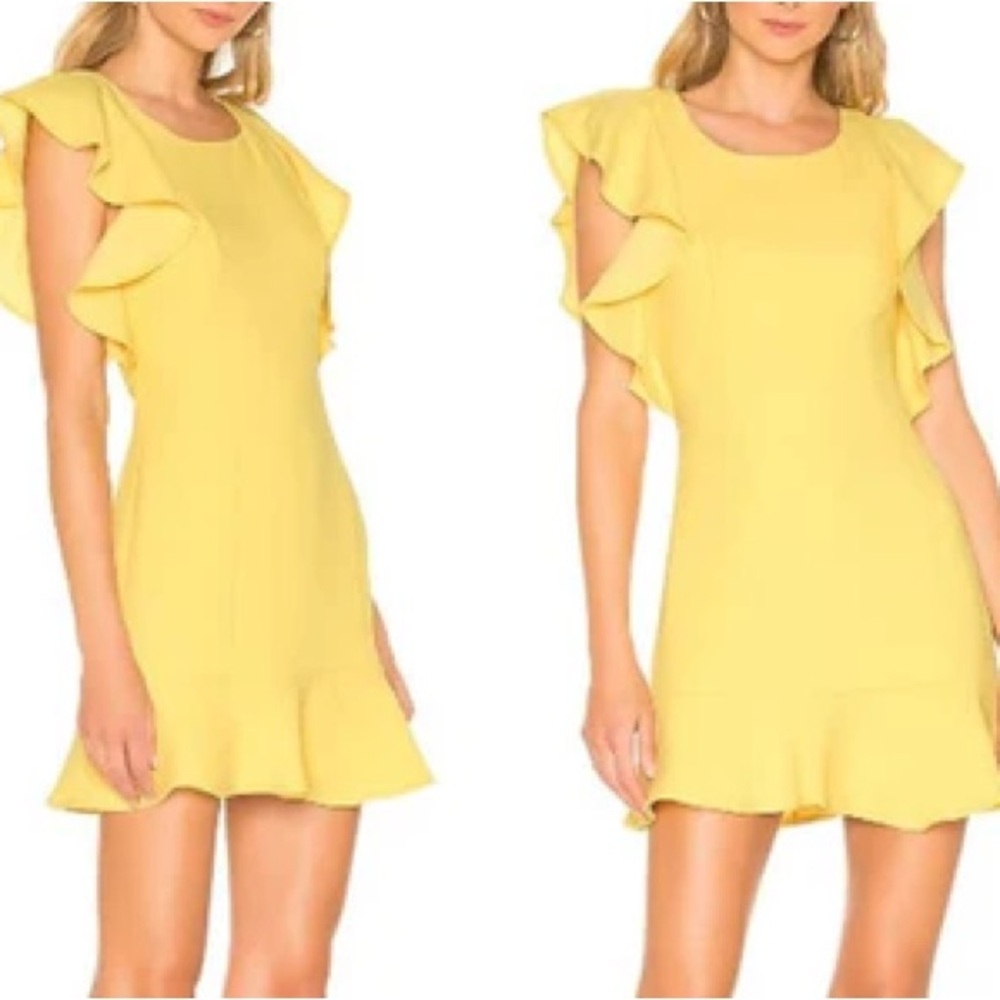 BCBGeneration Ruffle Mini Dress - Picture 2 of 14